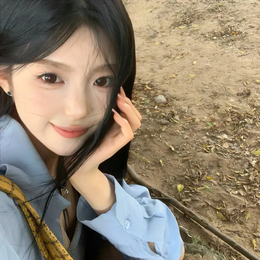 新·驯龙高手